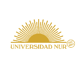 Universidad Nur Logo