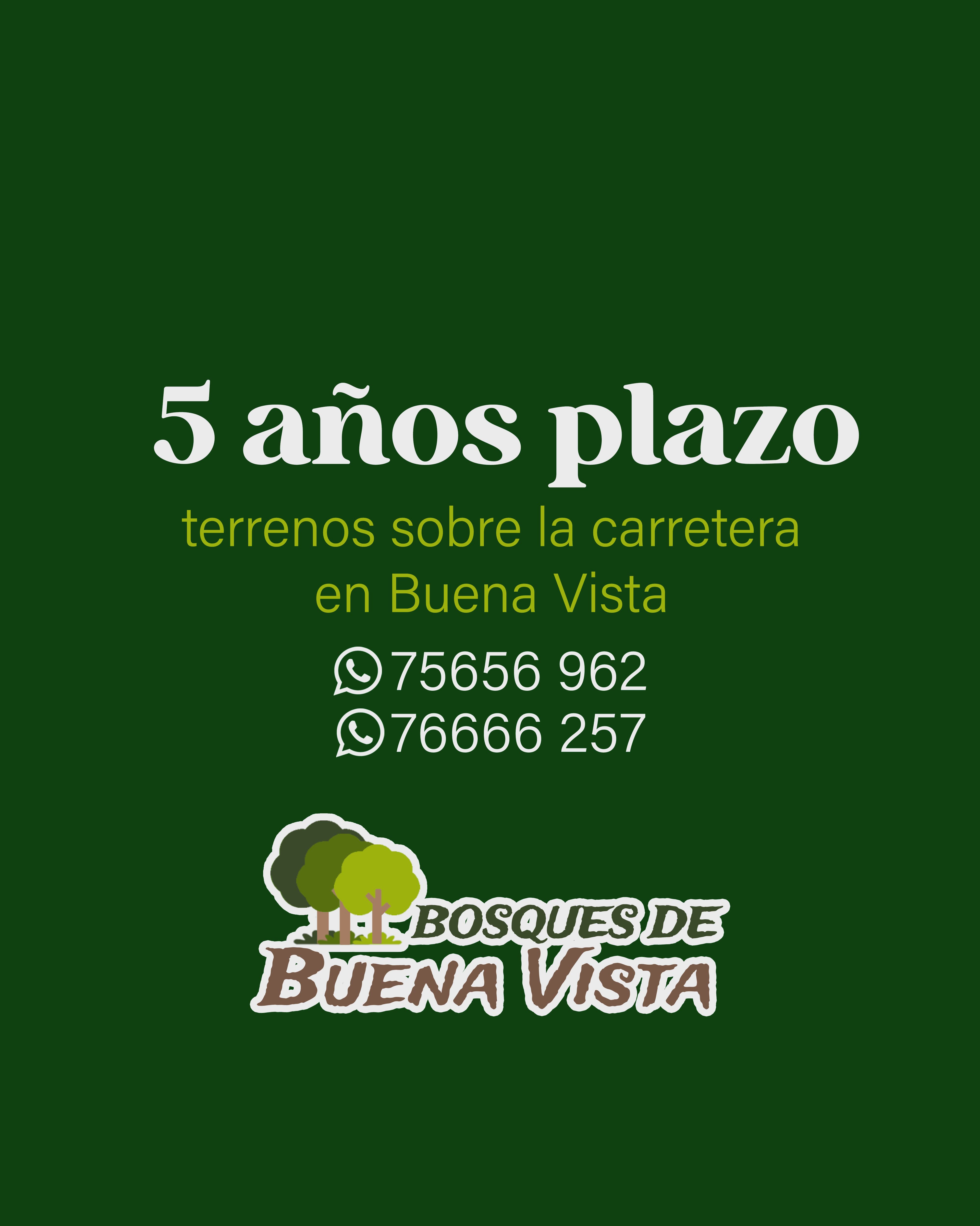 graphic design for bosques de buenavista social media