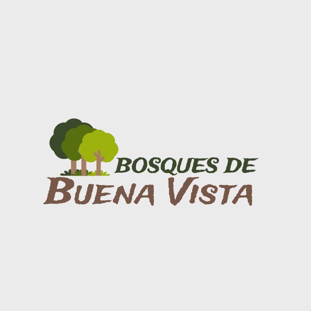 graphic design for bosques de buenavista social media