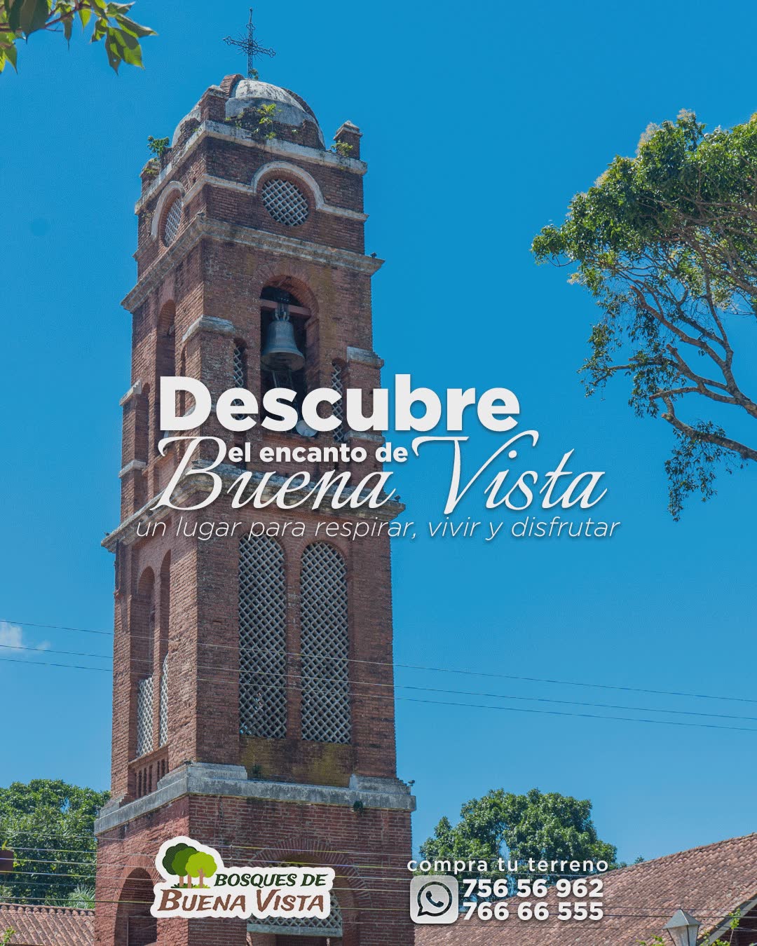 graphic design for bosques de buenavista social media
