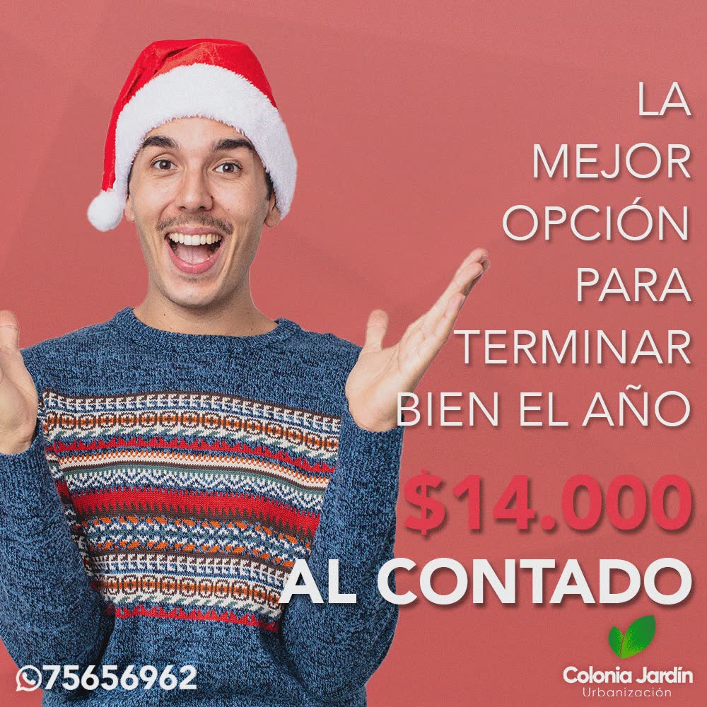 graphic design for colonia jardin social media