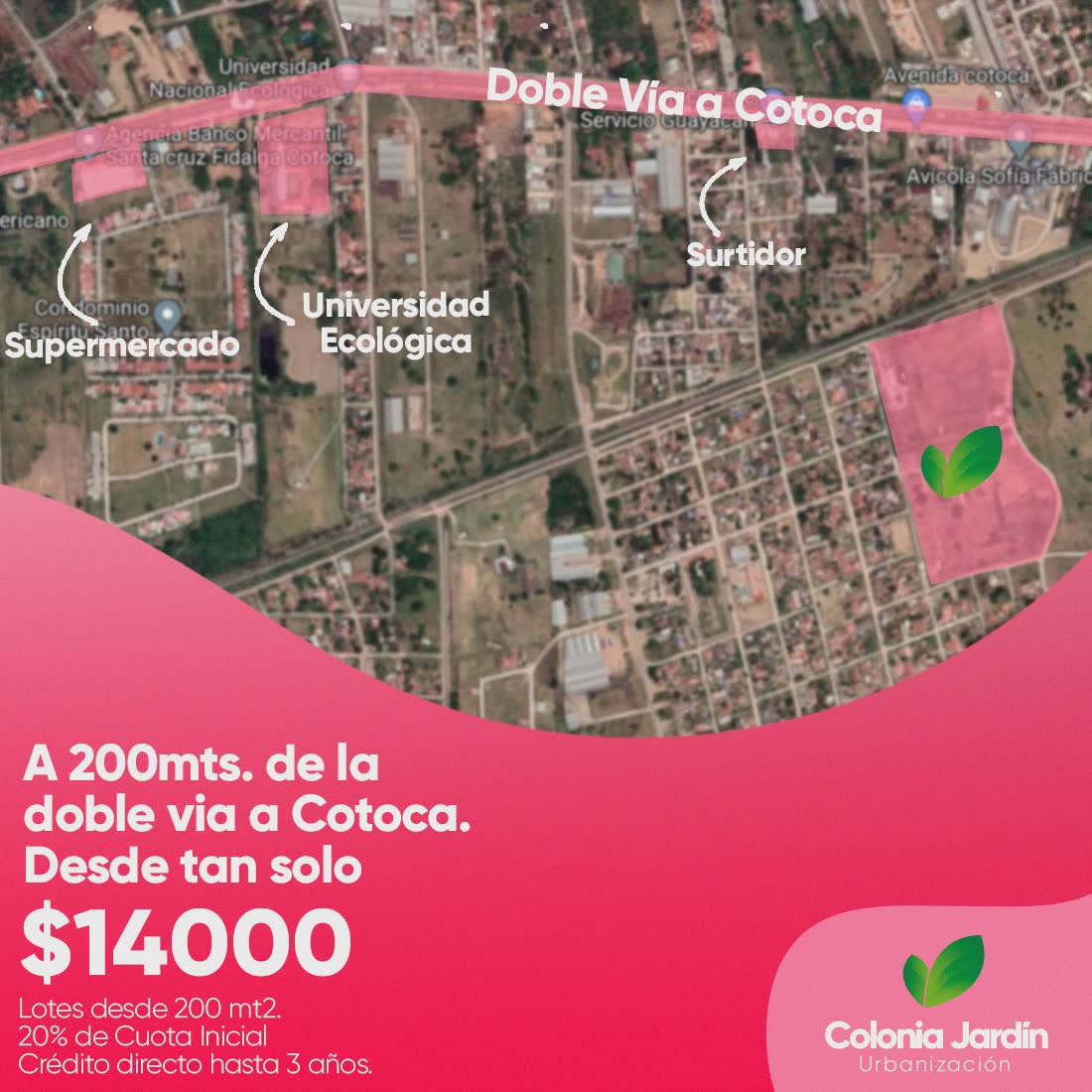 graphic design for colonia jardin social media