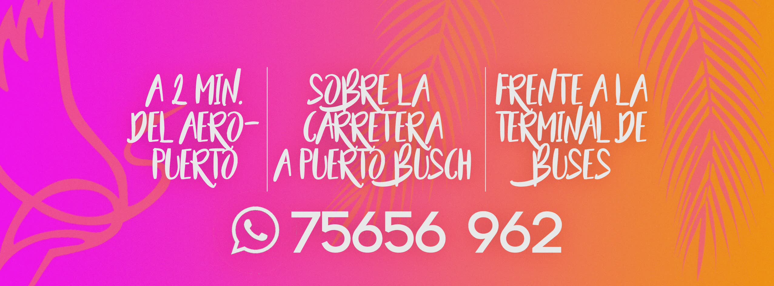 graphic design for el pantanal social media