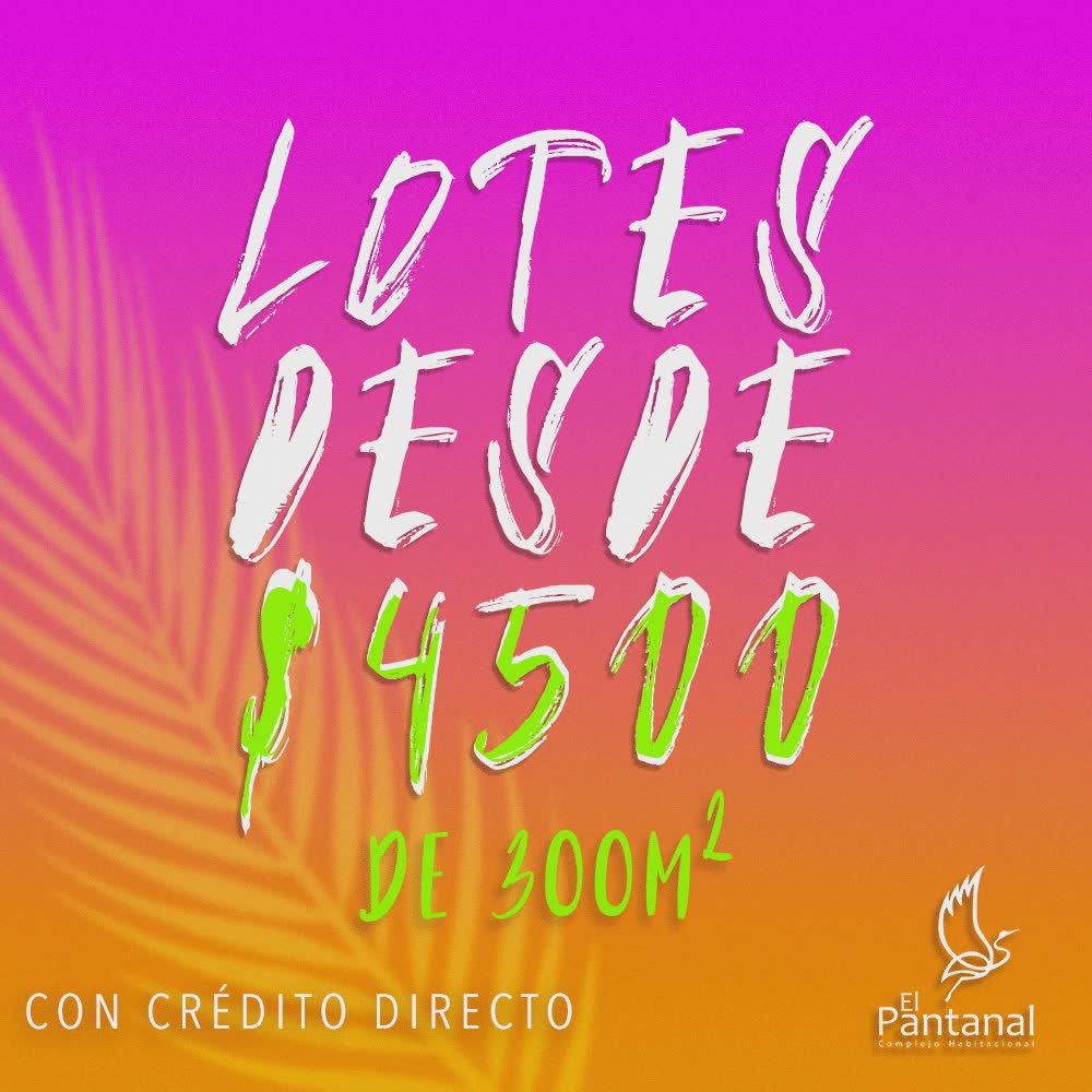 graphic design for el pantanal social media
