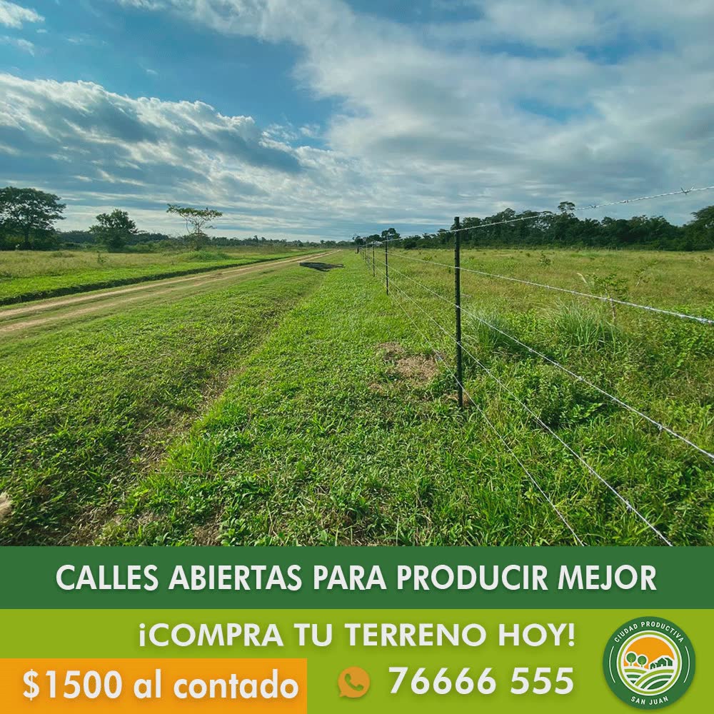 graphic design for ciudad productiva social media